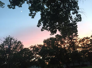 Meet your Posher, Brynn